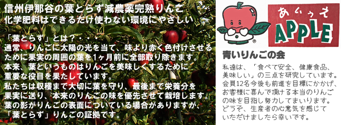 葉とらず減農薬完熟りんご